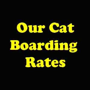 OurCatBoardingRates