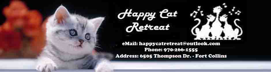 Happy Cat Retreat